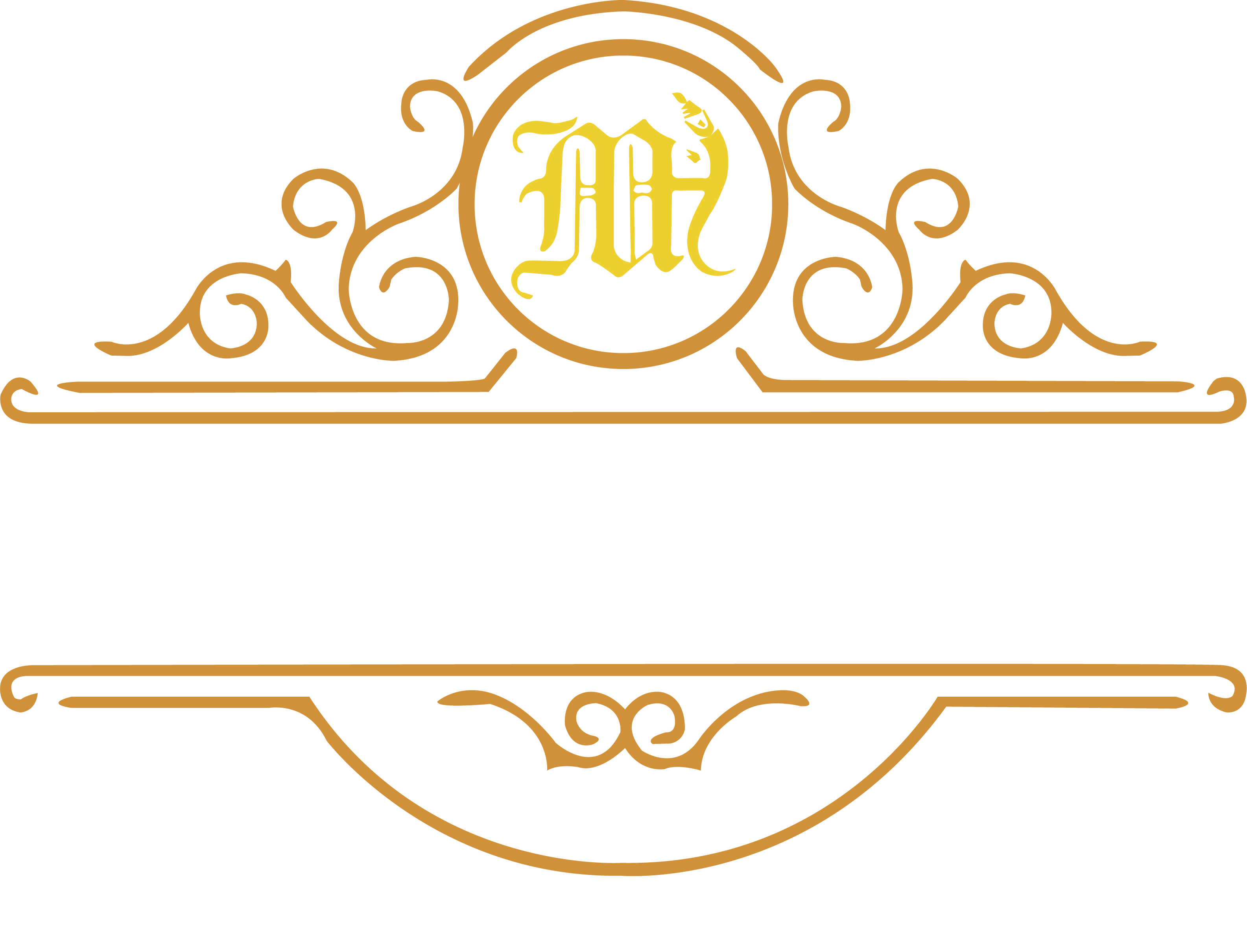 logo1